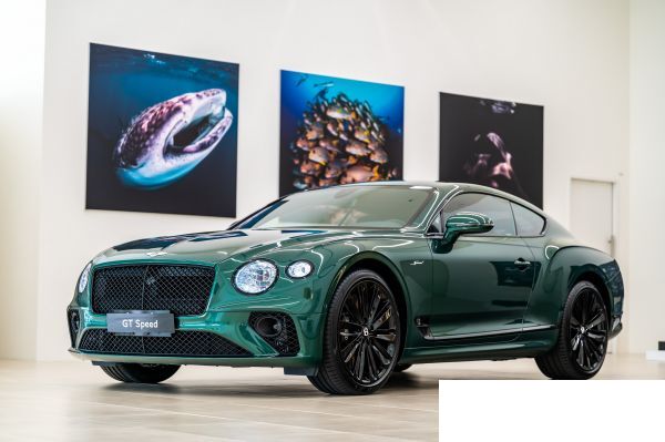 Bentley Continental GT Convertible 2026款